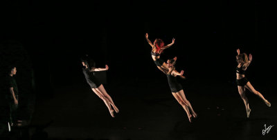 IMG_0482_1.jpg