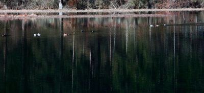 IMG_2350A.JPG