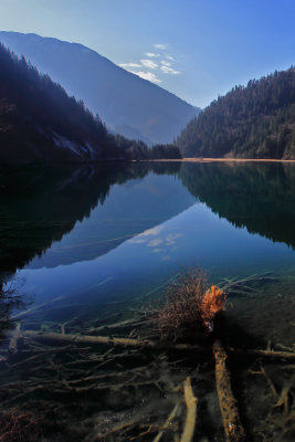 IMG_2414AA.JPG