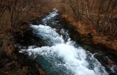 IMG_2695A.JPG
