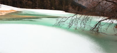 IMG_3324A.JPG