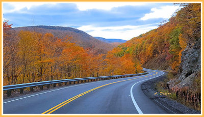 Autumn Along the Cabot Trail