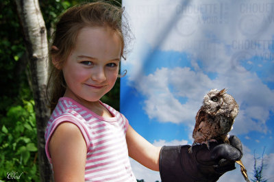 La-Rose et petit-duc macul - La-Rose and her eastern screech-owl