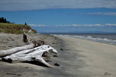 Plage du Parc nature de Pointe aux Outardes, Cte-Nord