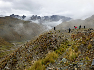 Ornitho  4313m d'altitude - Birding at 4313 meters