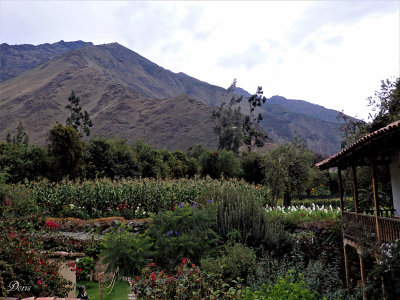 Jardins de l'htel El Albergue