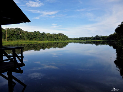 Laguna Cocha Blanco, Amazonie 