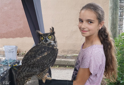 Laurianne et Grand-duc d'Amrique - Laurie and Great horned owl