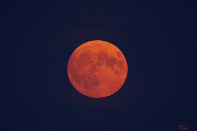 Lever de pleine lune - Full moonrise