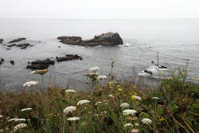 View near Yaquina Head Lighthouse