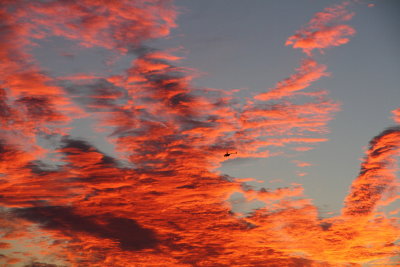 1 Helicopter at sunrise in Prosser, Washington