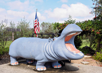 The Hutto mascot known as the Hutto Hippo of course 