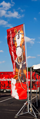 The Budweiser Banner