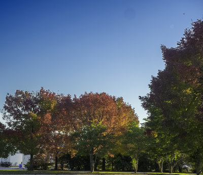 A touch of Fall on the Sheboygan, WI waterfront. 