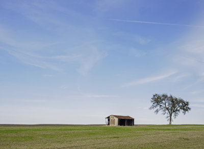 A Texas prairie