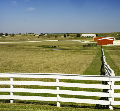 White fences, red barns