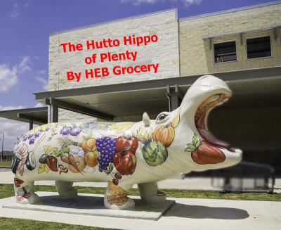 The Hutto Hippo of Plenty