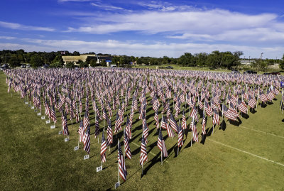 The Field of Honor