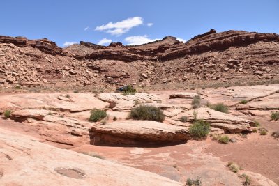 DSC_0126 (Copy).JPG