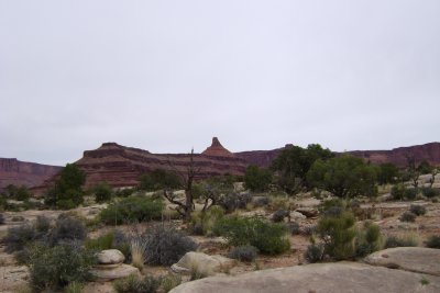 DSC01773 (Copy).JPG