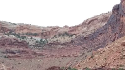 20170426_110152 (Copy).jpg