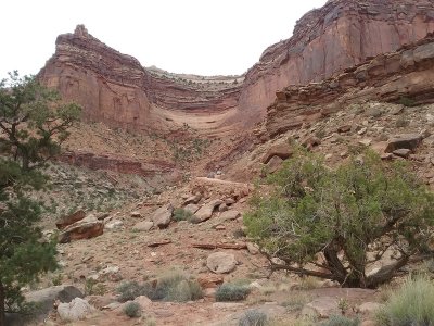 20170426_122911 (Copy).jpg