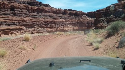 20170426_144426 (Copy).jpg