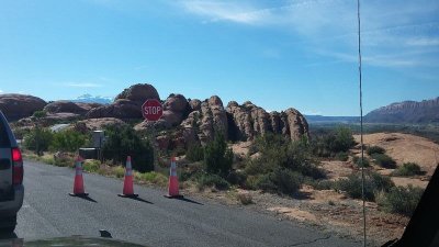 20170430_093513 (Copy).jpg