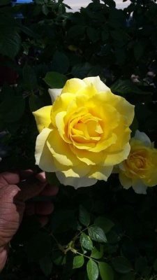 20170430_134132 (Copy).jpg
