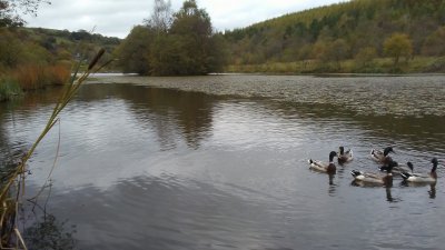 Parc Cwm Darren