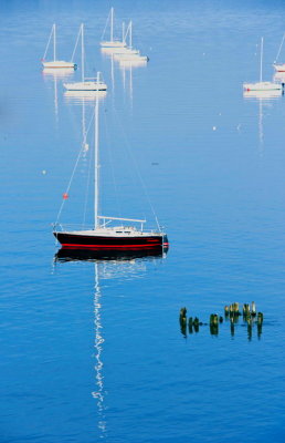Blue Hudson