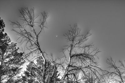 Overprocessed