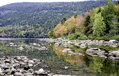 Acadia National Park