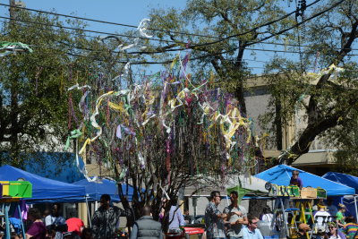 Bead Tree Last Week of Mardi Gras