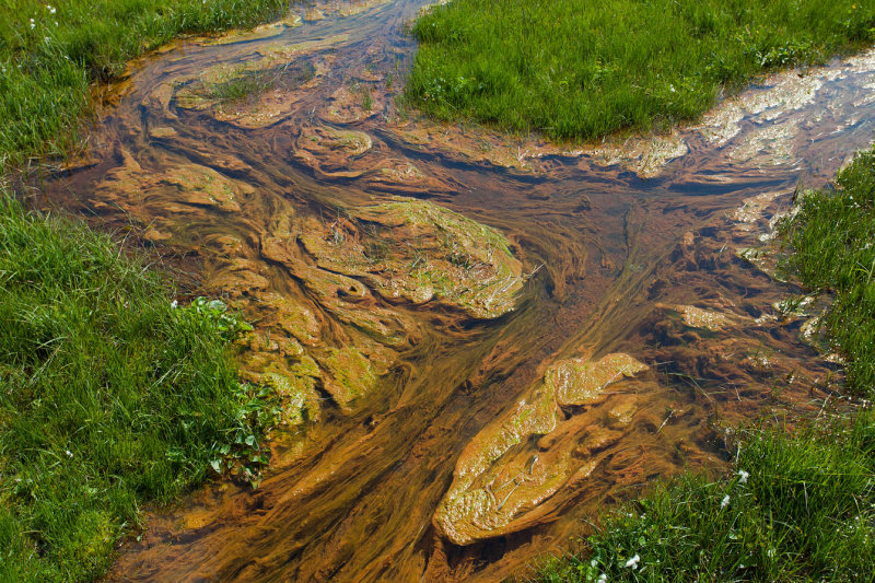 Icelandic Creek Color