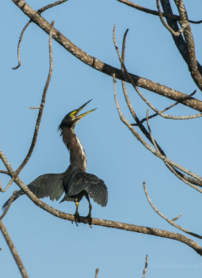 Lake City Wetlands Birders-6.jpg