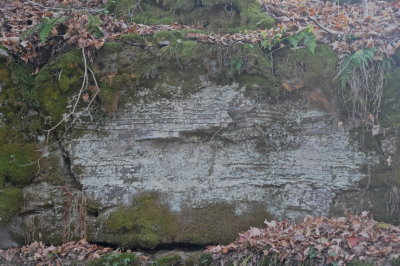 CORNWALL 2016-11-1 433.JPG