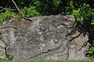 MIDDLEBURY 8-18-2015 572.JPG