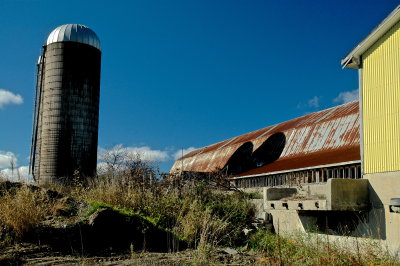 MIDD 2016-11-4 011.JPG