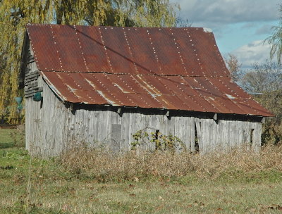 MIDD 2016-11-4 044.JPG