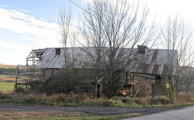 SHOREHAM 2016-11-1 631.JPG