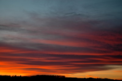 MIDD 2016-11-11 18.JPG