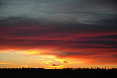 MIDD 2016-11-11 48.JPG