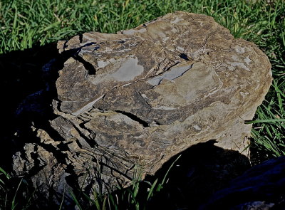 CORNWALL 2015-10-10 3502.JPG