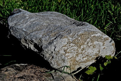CORNWALL 2015-10-10 3506.JPG