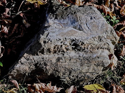 CORNWALL 2015-10-10 3529.JPG