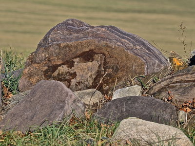 CORNWALL 2015-12-5 62.JPG