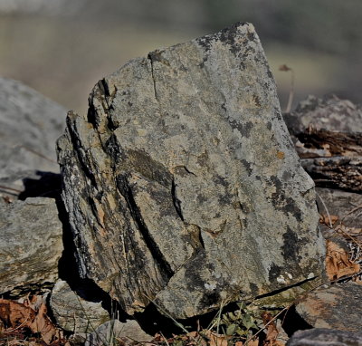 CORNWALL 2015-12-5 138.JPG