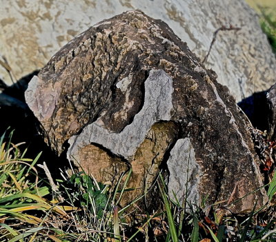 CORNWALL 2015-12-5 159.JPG