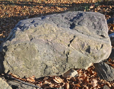 CORNWALL 2016-11-13 814.JPG